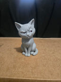 Spicy cat