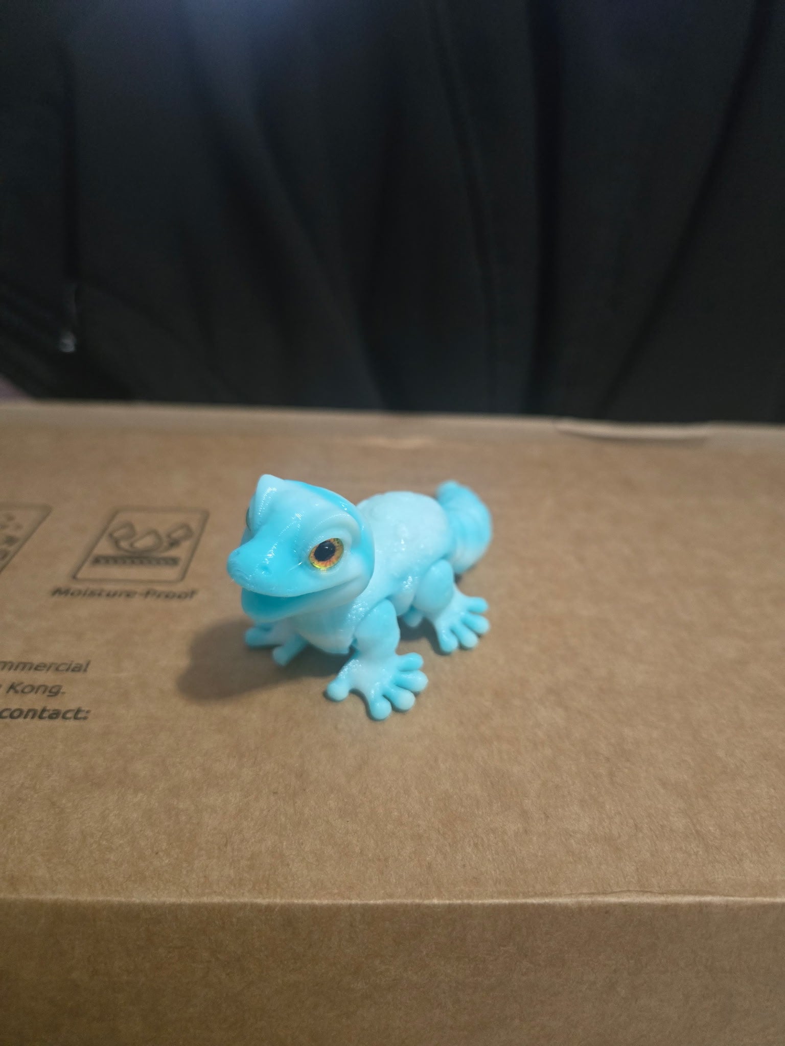 Gecko